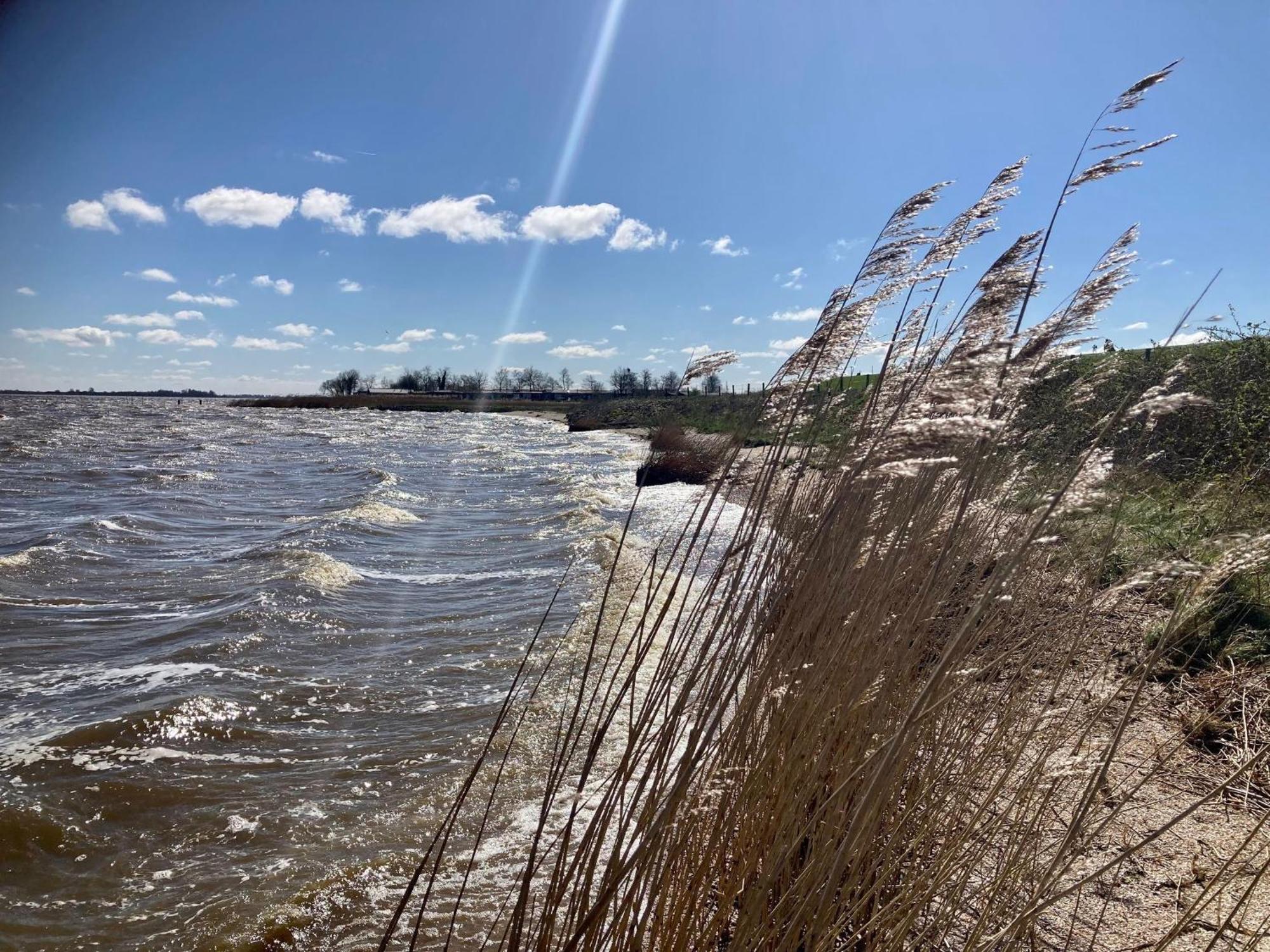 House Marijke With Winter Garden And Direct Access To The Lauwersmeer Anjum ภายนอก รูปภาพ
